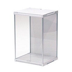 �A�N�����P�[�X