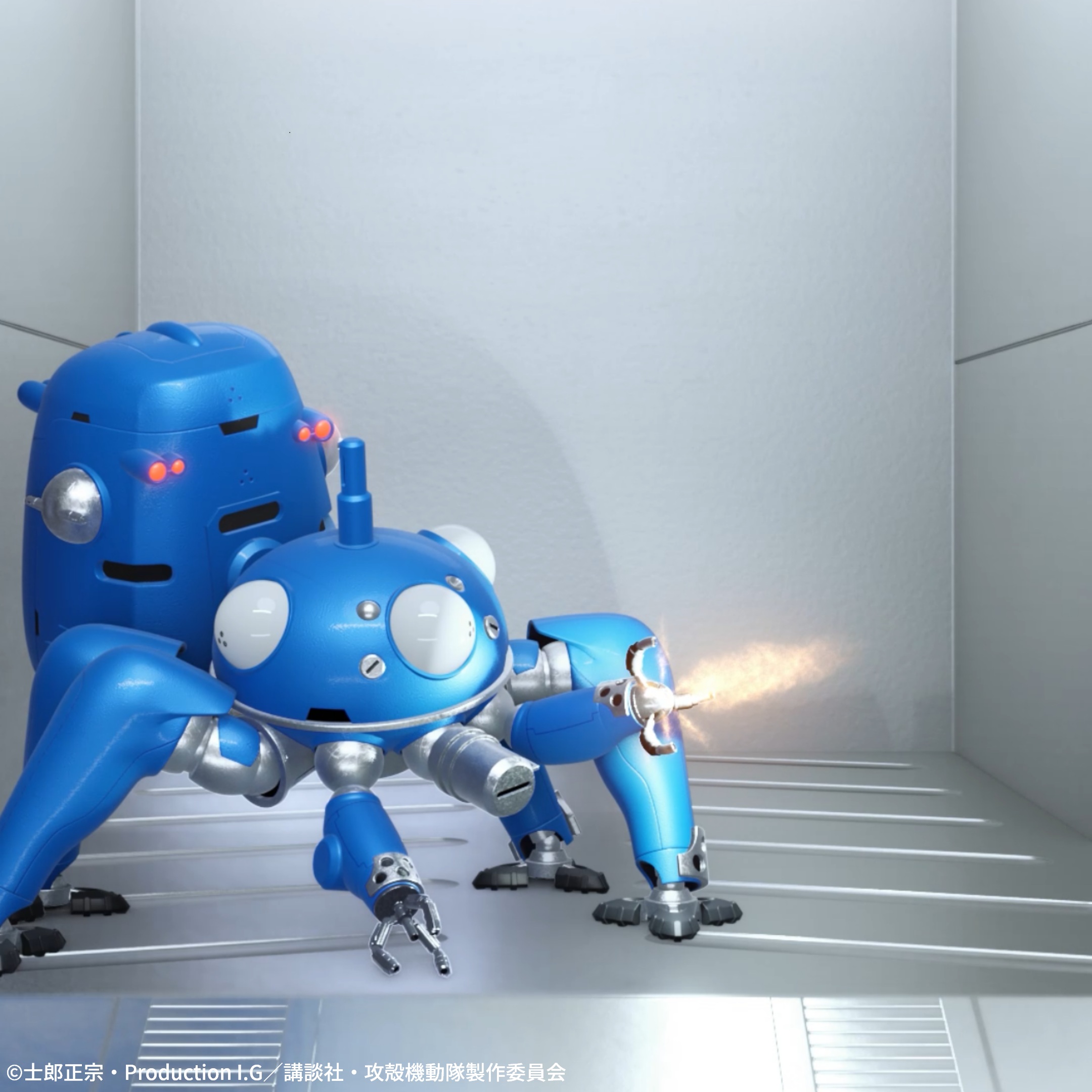 �f�W�^���t�B�M���A�{�b�N�X �^�`�R�}