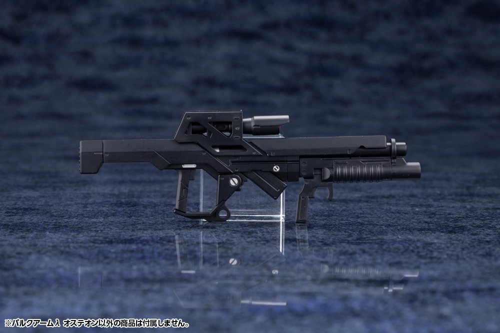 �o���N�A�[���� �I�X�e�I��