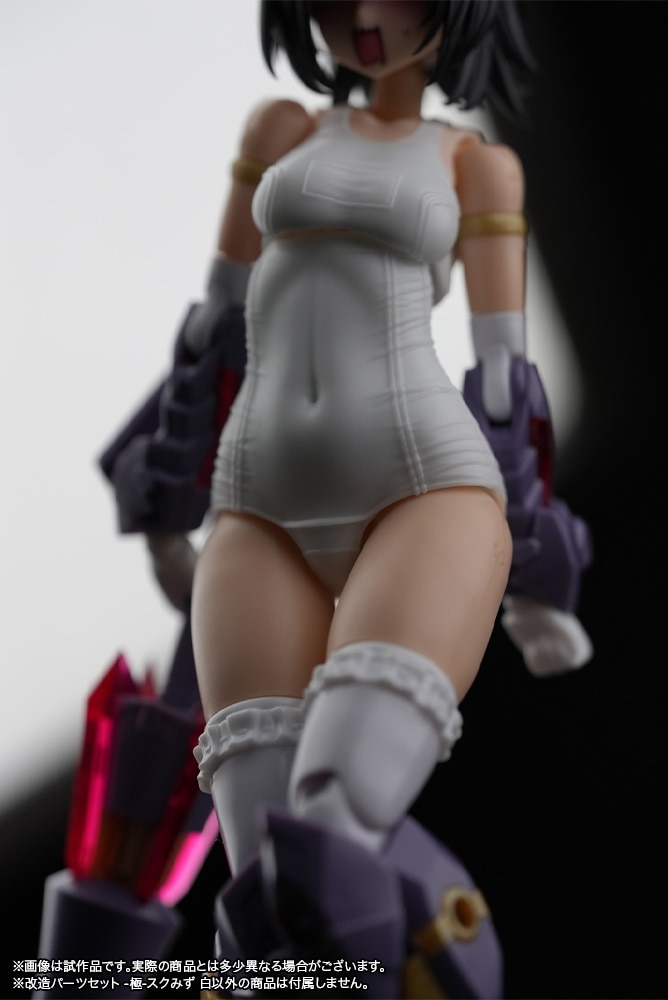 特典付 フレームアームズガール改造パーツセット マガツキドゥルガー用 白黒バニー フレームアームズ・ガール 改造パーツセット マガツキ・ドゥルガー用