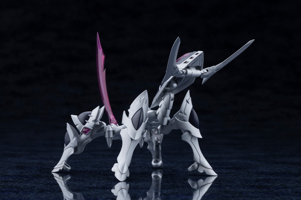 �[�m�A���} ���M�A���g