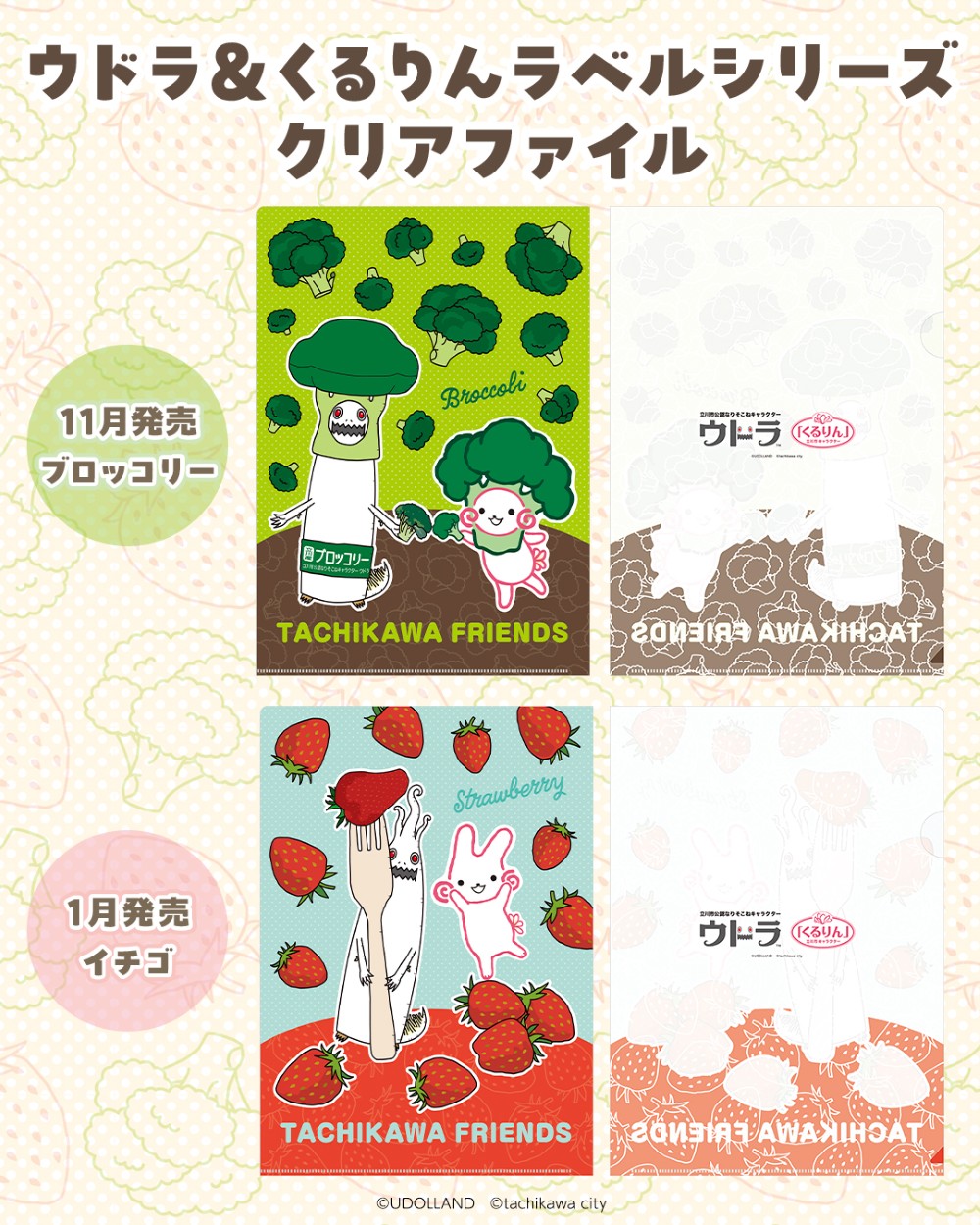 Eh&񃉃xV[Y NAt@CyC`Sz