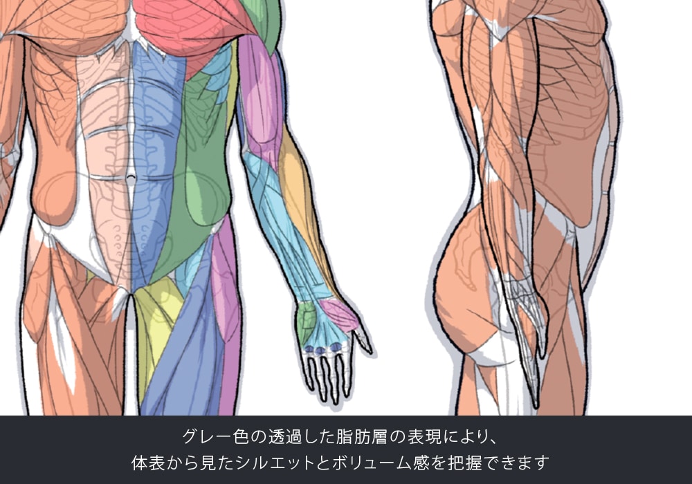 ARTIST SUPPORT ITEM ���A�i�g�~�[�A�N�����X�^���h�i�j��/Side�j