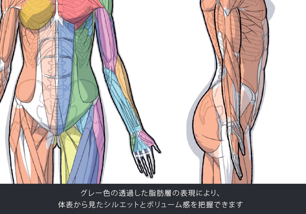 ARTIST SUPPORT ITEM ���A�i�g�~�[�A�N�����X�^���h�i����/Side�j