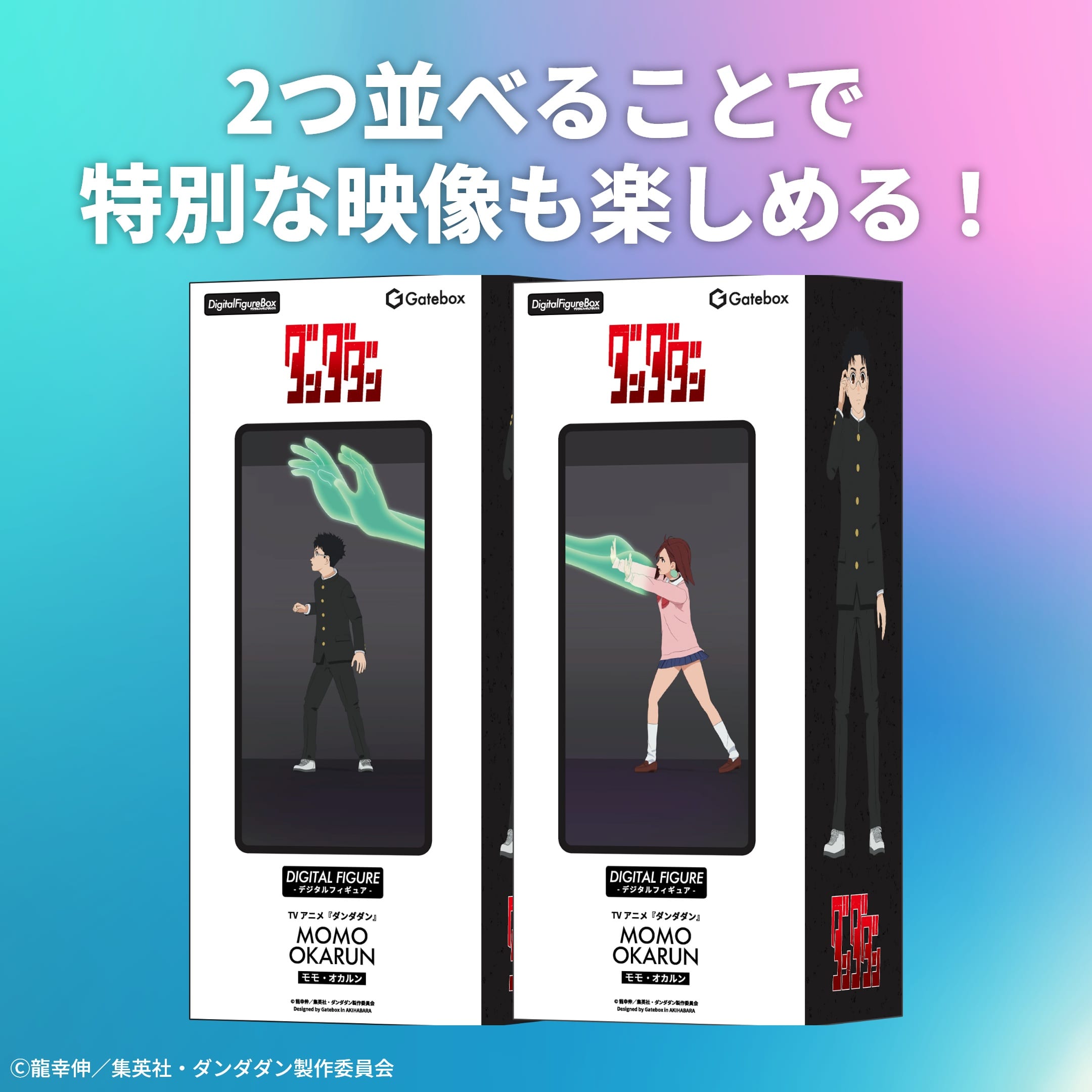 �f�W�^���t�B�M���A�{�b�N�X �_���_�_��