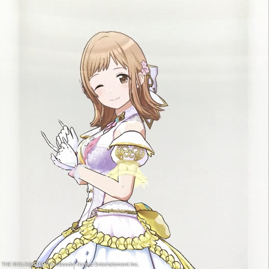 �f�W�^���t�B�M���A�{�b�N�X �A�C�h���}�X�^�[ �V���C�j�[�J���[�Y