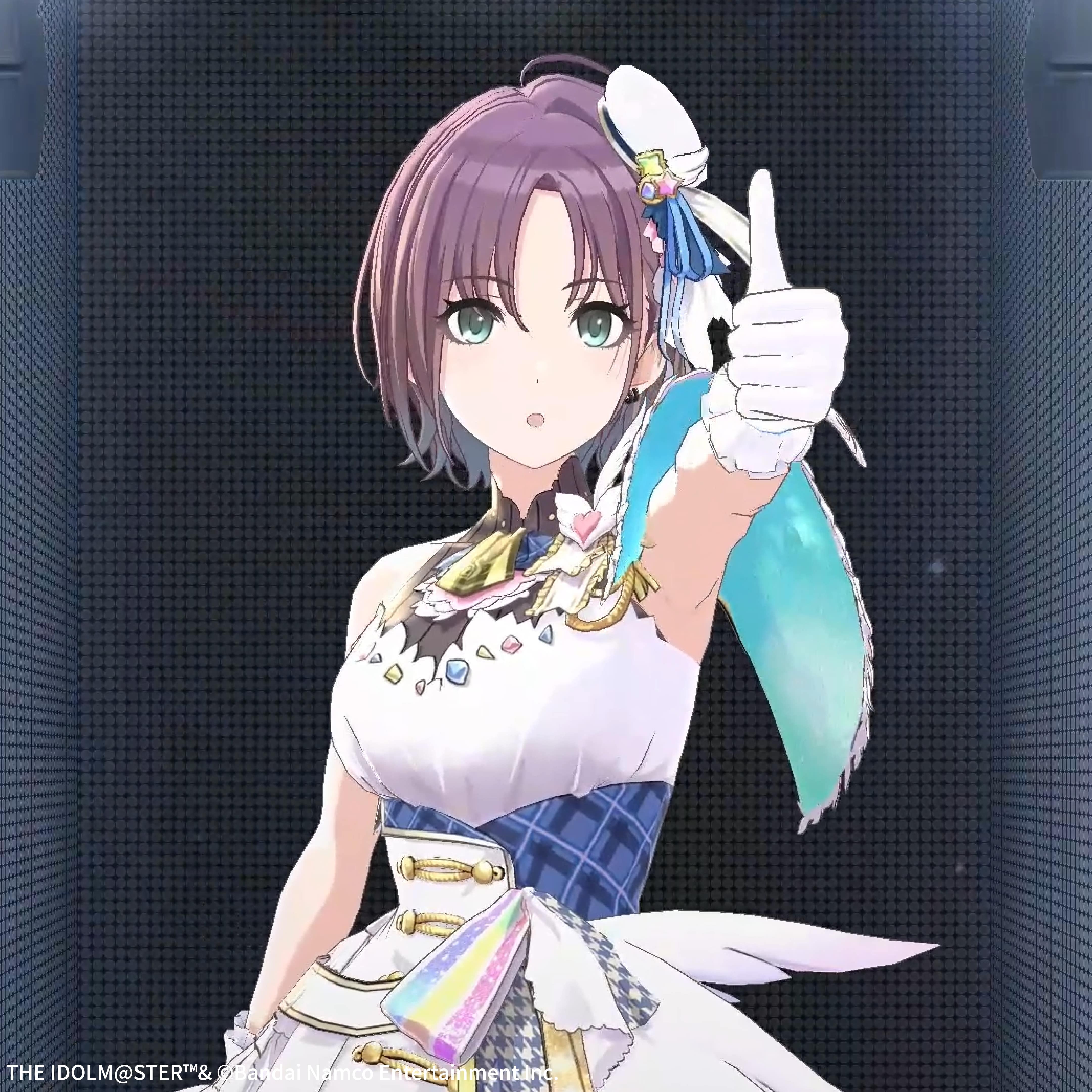 �f�W�^���t�B�M���A�g���p�b�N �A�C�h���}�X�^�[ �V���C�j�[�J���[�Y�y283�v�� �m�N�`�� ���C�u�z