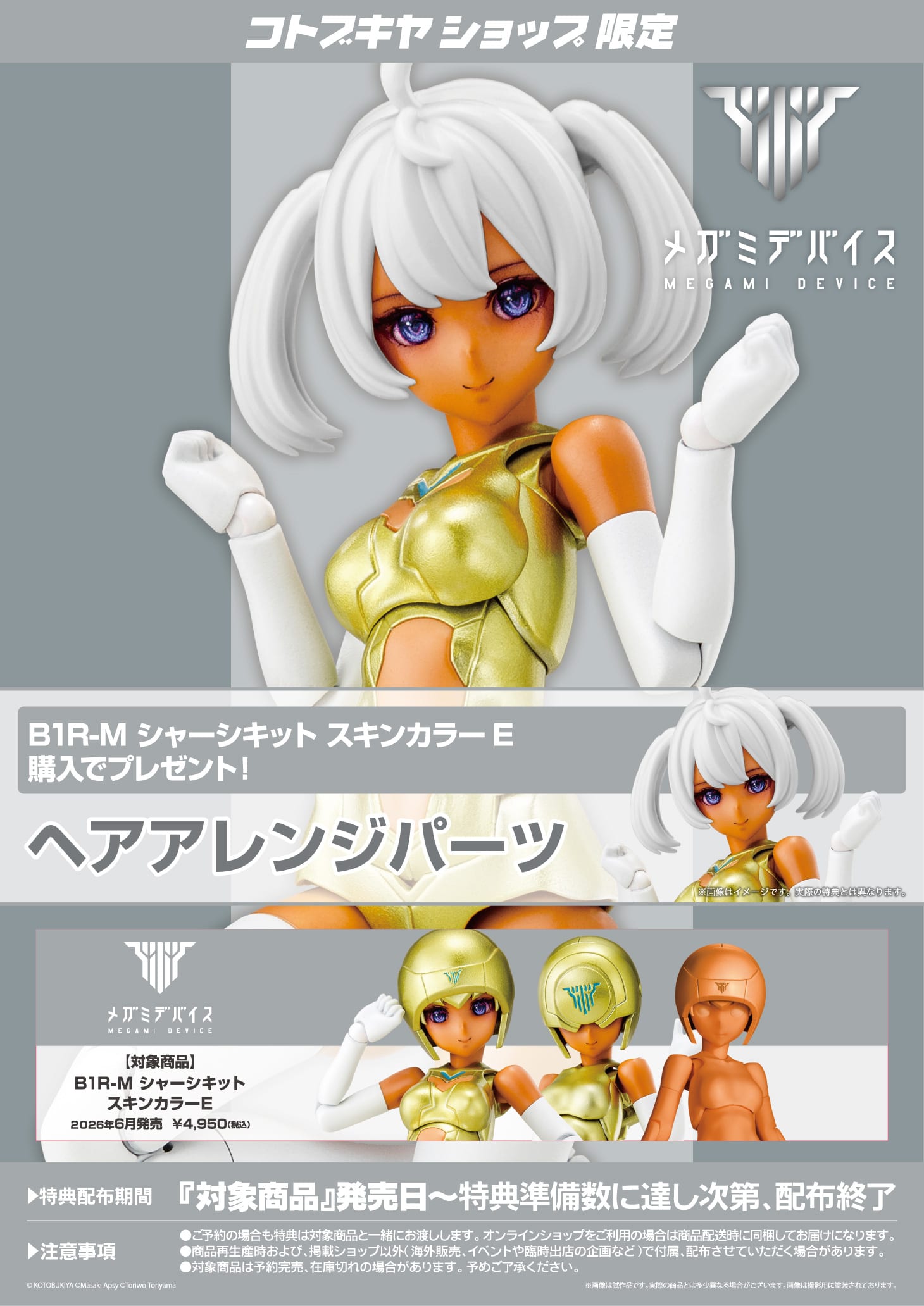 B1R-M �V���[�V�L�b�g �X�L���J���[E