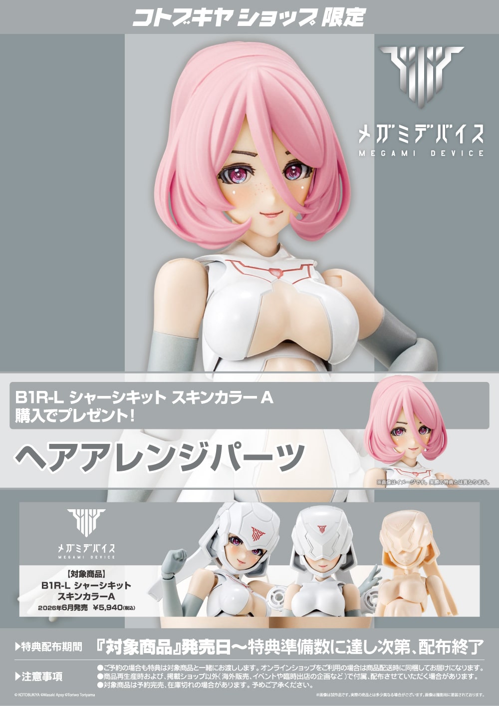 B1R-L �V���[�V�L�b�g �X�L���J���[A