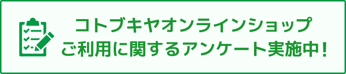 RguLICVbv pɊւAP[g{I